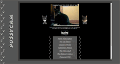 Desktop Screenshot of haveyouseenmypussy.com